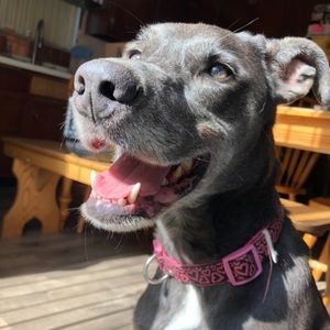 Meet your Posher, Brianna